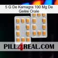5 G De Kamagra 100 Mg De Gelée Orale cialis4